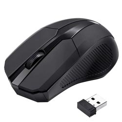 "Enter E-W55 Ergonomic Design Wireless Black Optical Mouse"