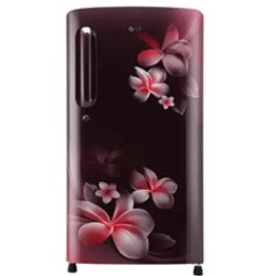 "LG 190 L Direct Cool Single Door 5 Star Smart Inverter Compressor Refrigerator"